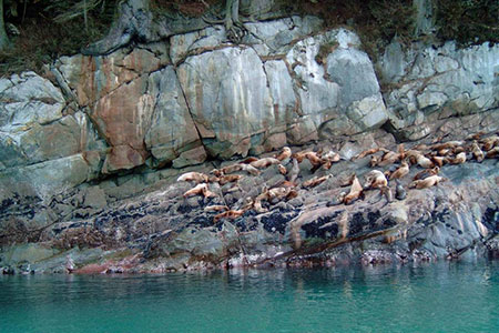 Viking Travel Inc. / AlaskaFerry.com | Petersburg, Alaska | Alaska Ferry Information