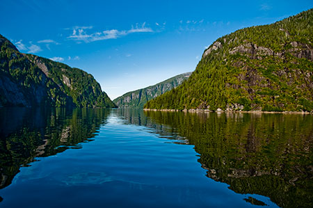 Viking Travel Inc. / AlaskaFerry.com | Petersburg, Alaska | Day Tours Misty Fjords